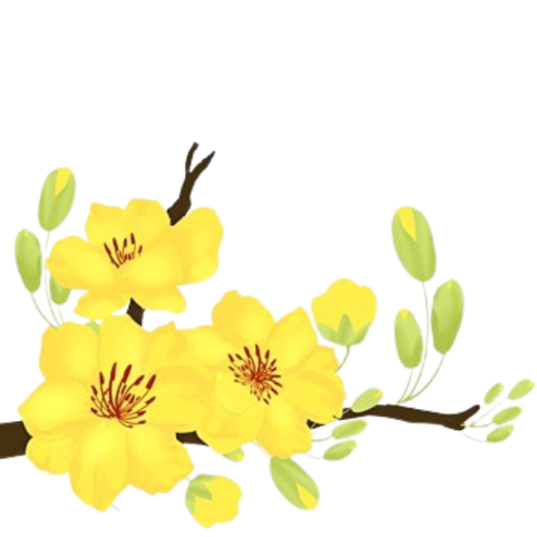 Đèn lồng Trung Thu